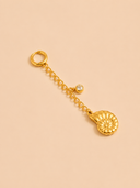 The Nautilus Charm